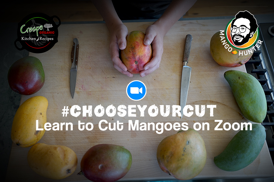 Zoom #ChooseYOurCut Event Header MainPhoto