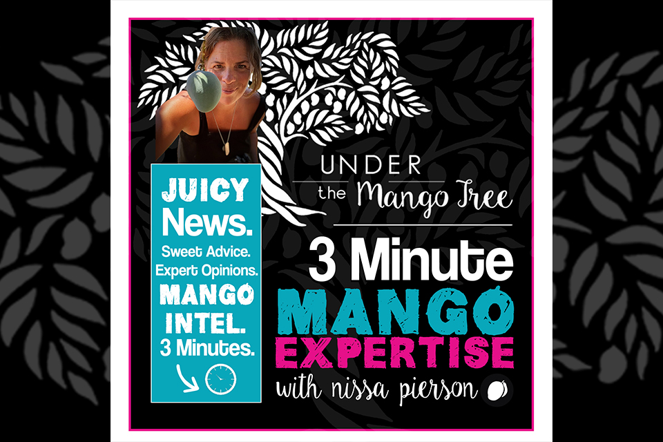 9603 Minute Mango Expertise